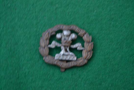 South Lancashire Regiment.