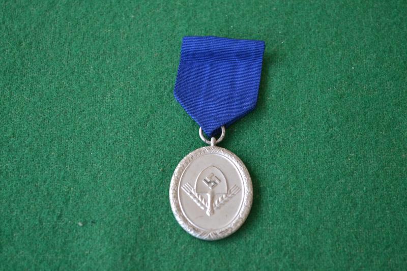 RAD 12 YearLong Service Medal.