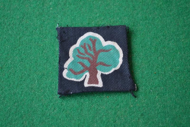 46th Division.