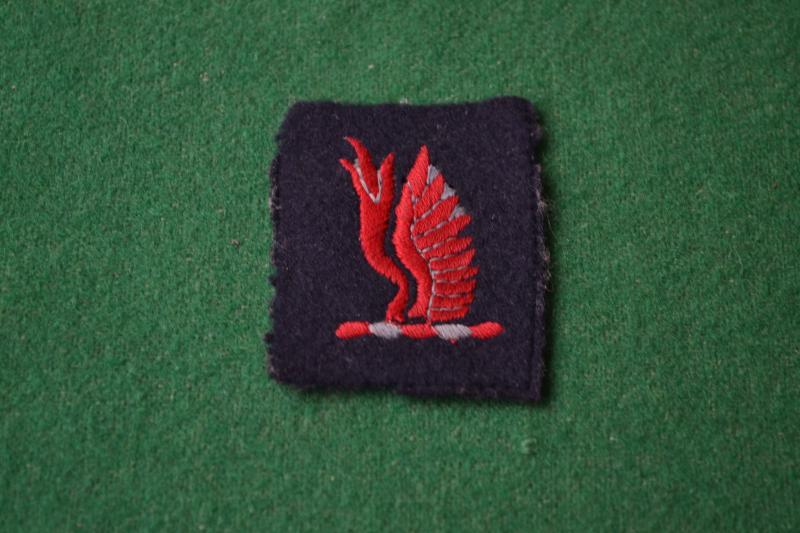 24th Independent Guards Brigade.