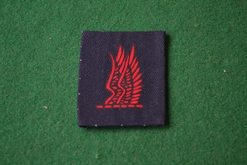 24th Independent Guards Brigade.